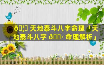🦊 天地泰斗八字命理「天地泰斗八字 🌷 命理解析」